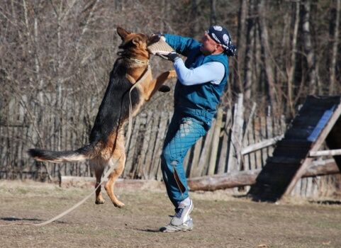 Training in Estonia 30.3 - 1.4. 2007